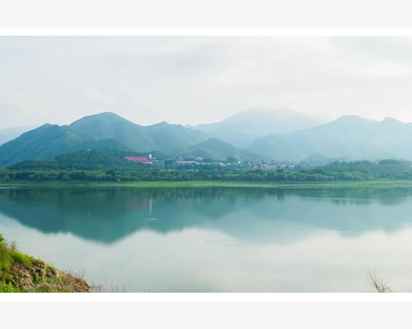 刮痧膀胱经出痧严重，中医解说其原因及作用