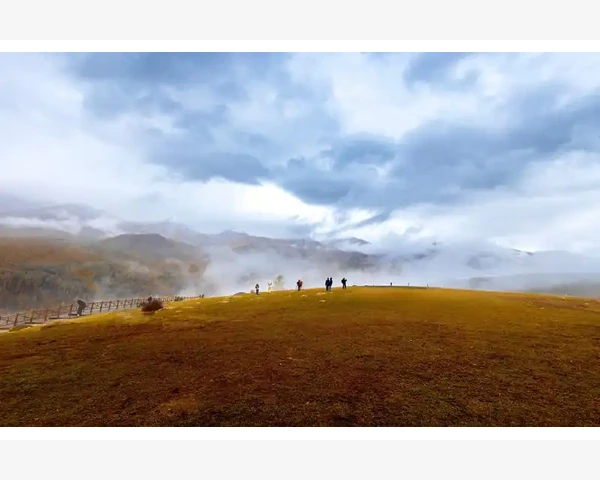 中医药调养：舒缓尿失禁不再成为困扰