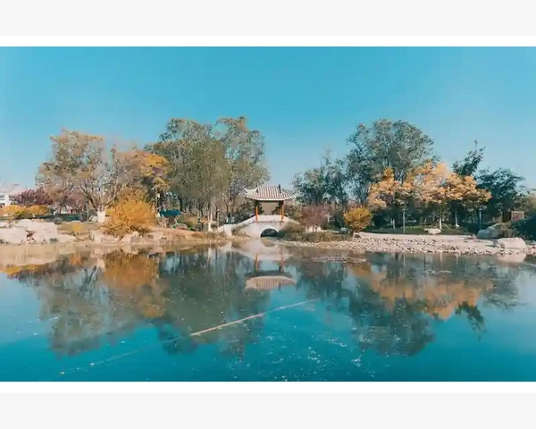 刮痧艾灸：能否一起使用